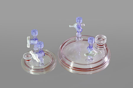 һ����HARV���ﷴӦ����